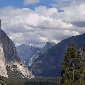 Meet your Posher, Abigail